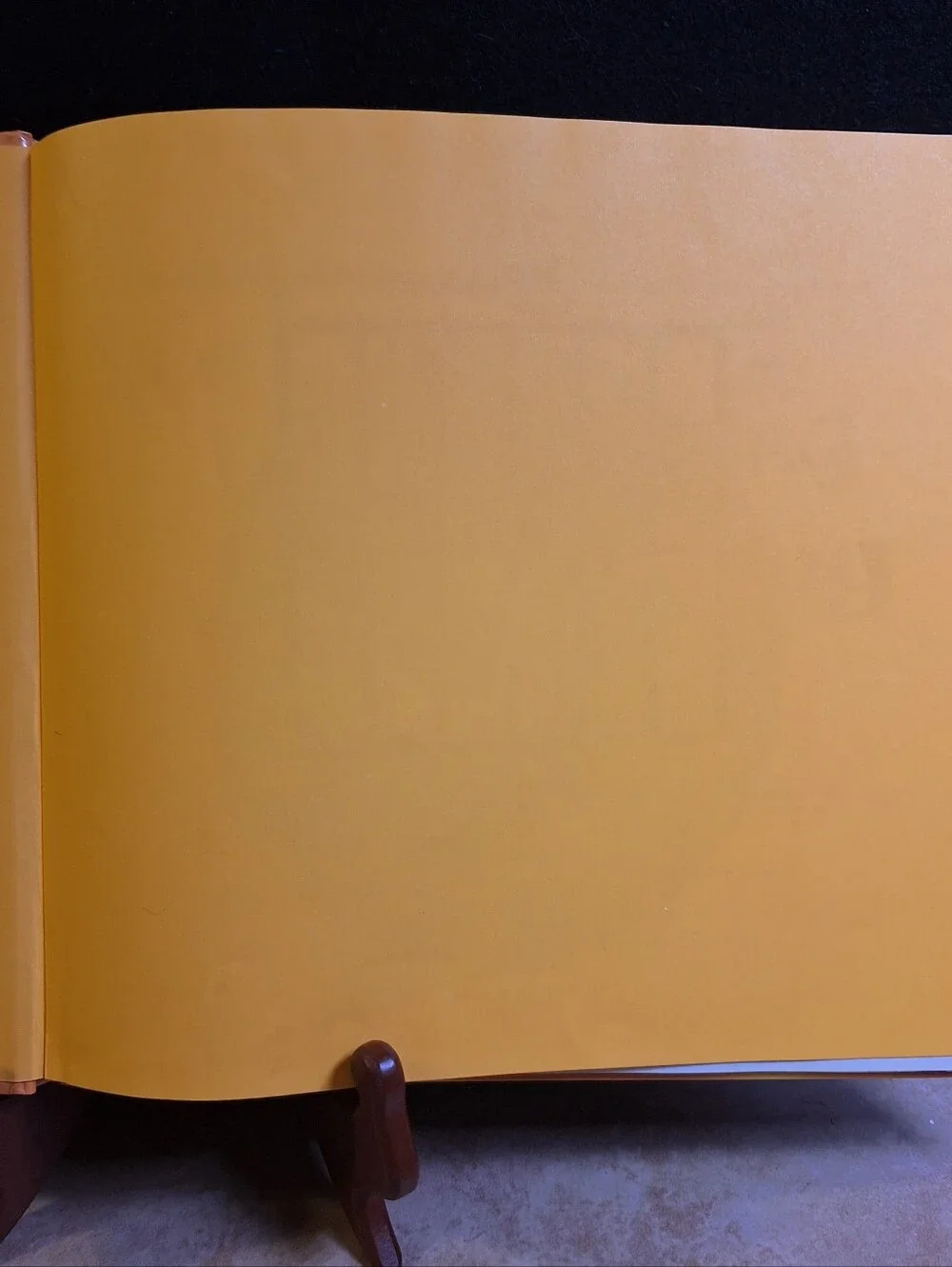 Walter The Farting Dog Hardcover Book/6